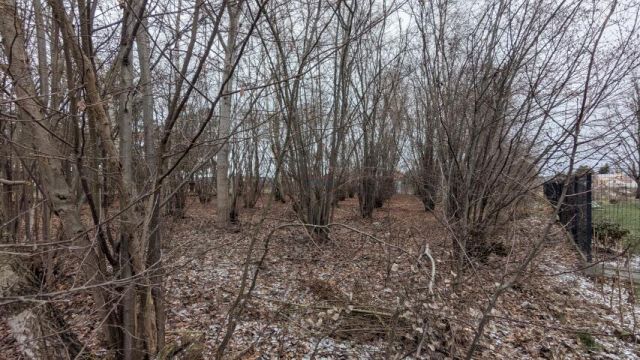 Działka budowlana Wola Mrokowska. Zdjęcie 4