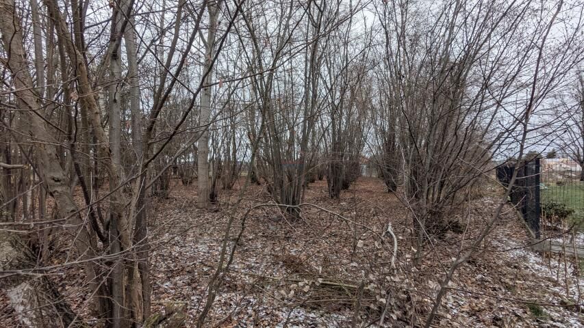 Działka budowlana Wola Mrokowska. Zdjęcie 4