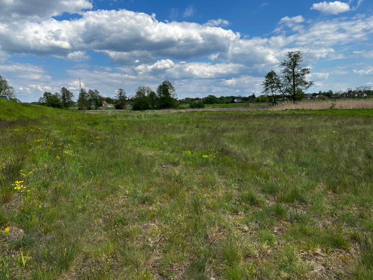 Działka rolna Kołczyn, Kołczyn. Zdjęcie 10