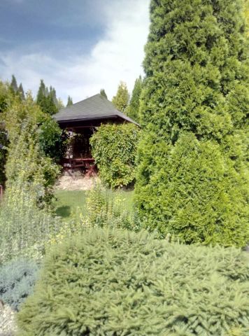 Działka rod Iława, ul. Podleśna. Zdjęcie 6