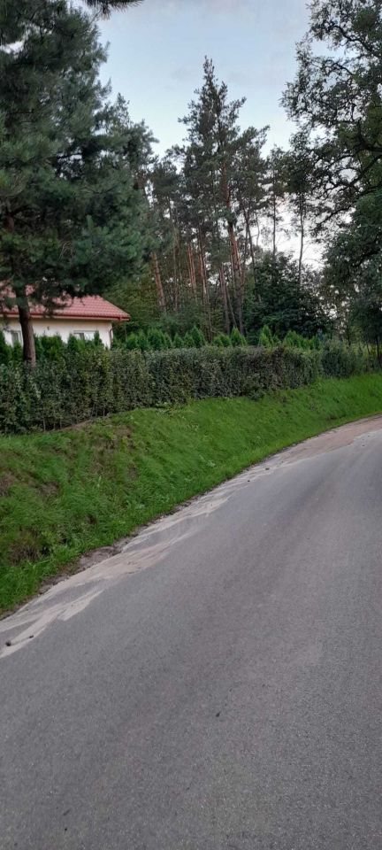 dom wolnostojący Pień. Zdjęcie 6