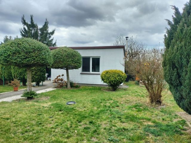 Działka rod Złotniki. Zdjęcie 1