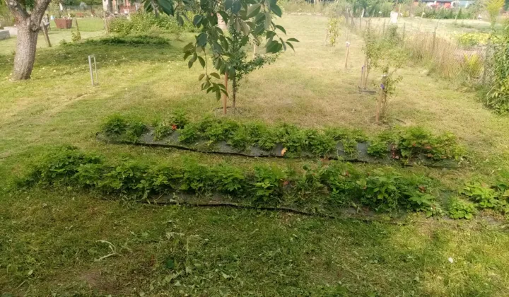 Działka rod Nowe
