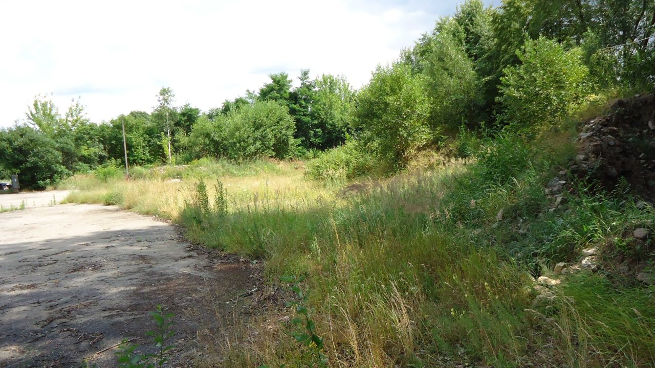 Działka rekreacyjna Skrzyńsko. Zdjęcie 6