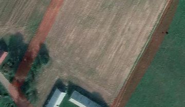 Działka siedliskowa Stary Rogożyn