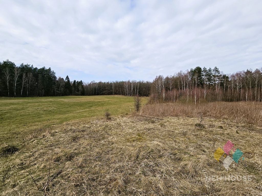Działka rolna Myki. Zdjęcie 4