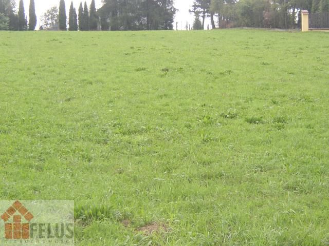 Działka budowlana Sosnowice. Zdjęcie 5