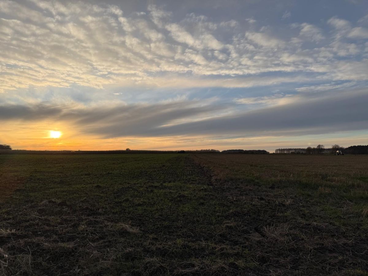 Działka rolna Oleśniczka. Zdjęcie 10