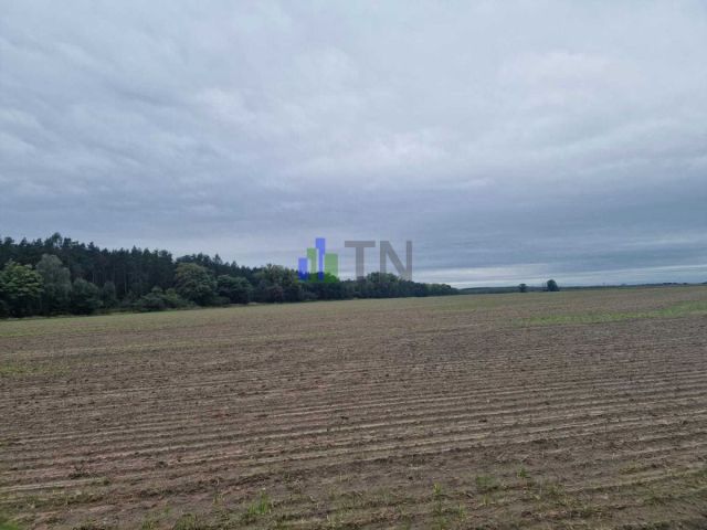 Działka budowlana Nowy Dwór. Zdjęcie 2