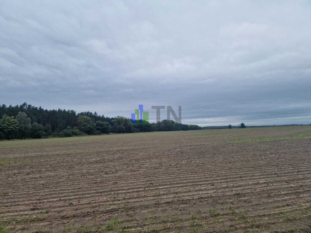 Działka budowlana Nowy Dwór. Zdjęcie 2