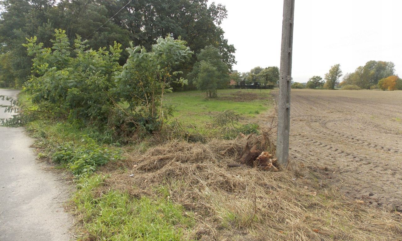 Działka inwestycyjna Nieborów, ul. Spacerowa. Zdjęcie 8