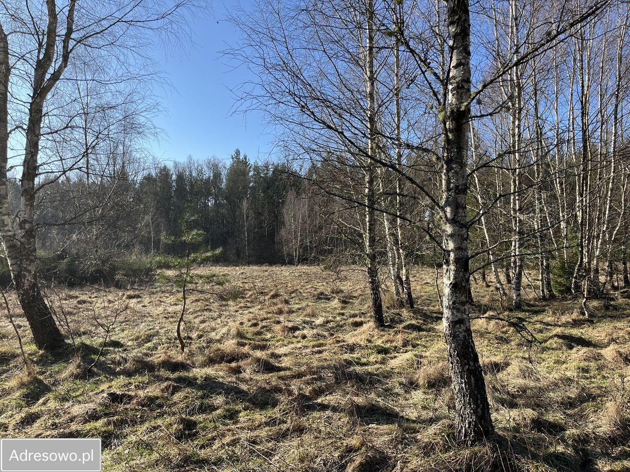 Działka rolno-budowlana Bukowa. Zdjęcie 3
