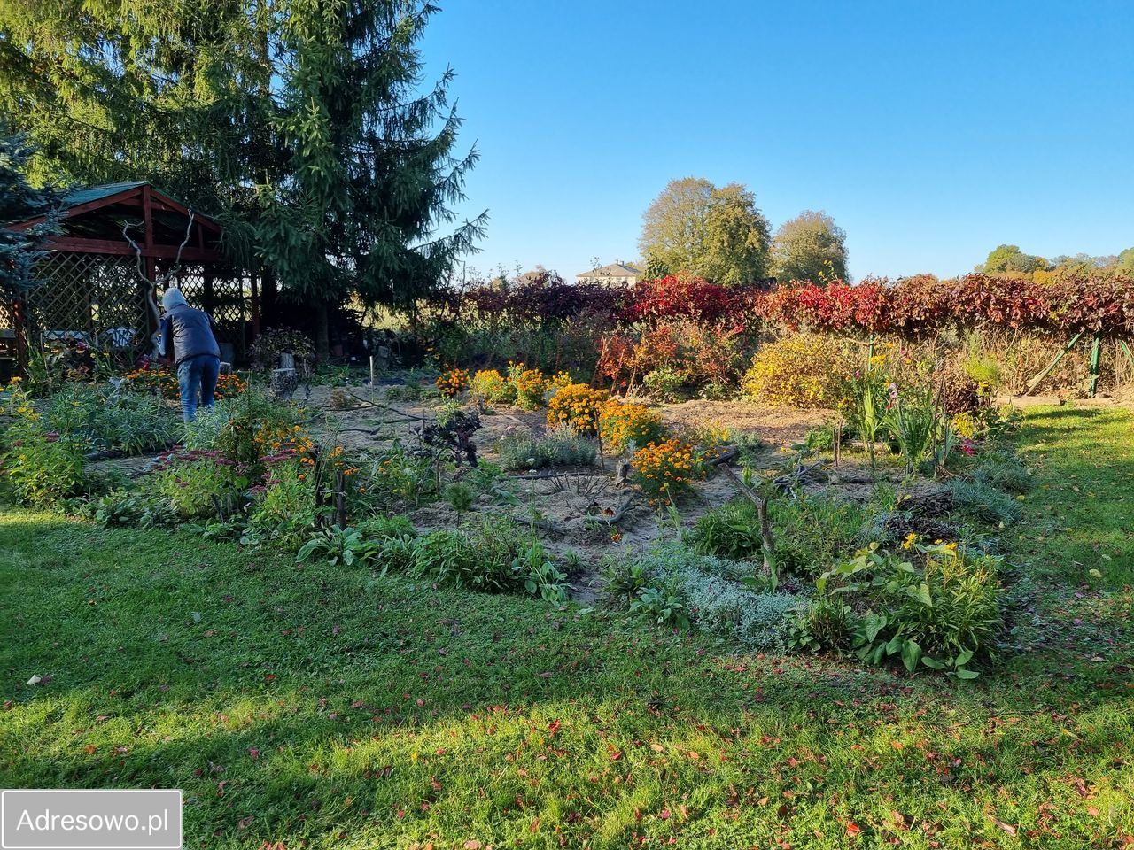 Działka rolno-budowlana Boduszyn. Zdjęcie 11