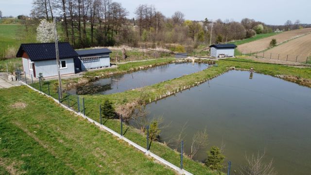 Działka rekreacyjna Kisielów. Zdjęcie 1