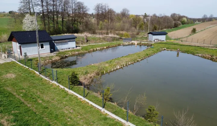 Działka rekreacyjna Kisielów