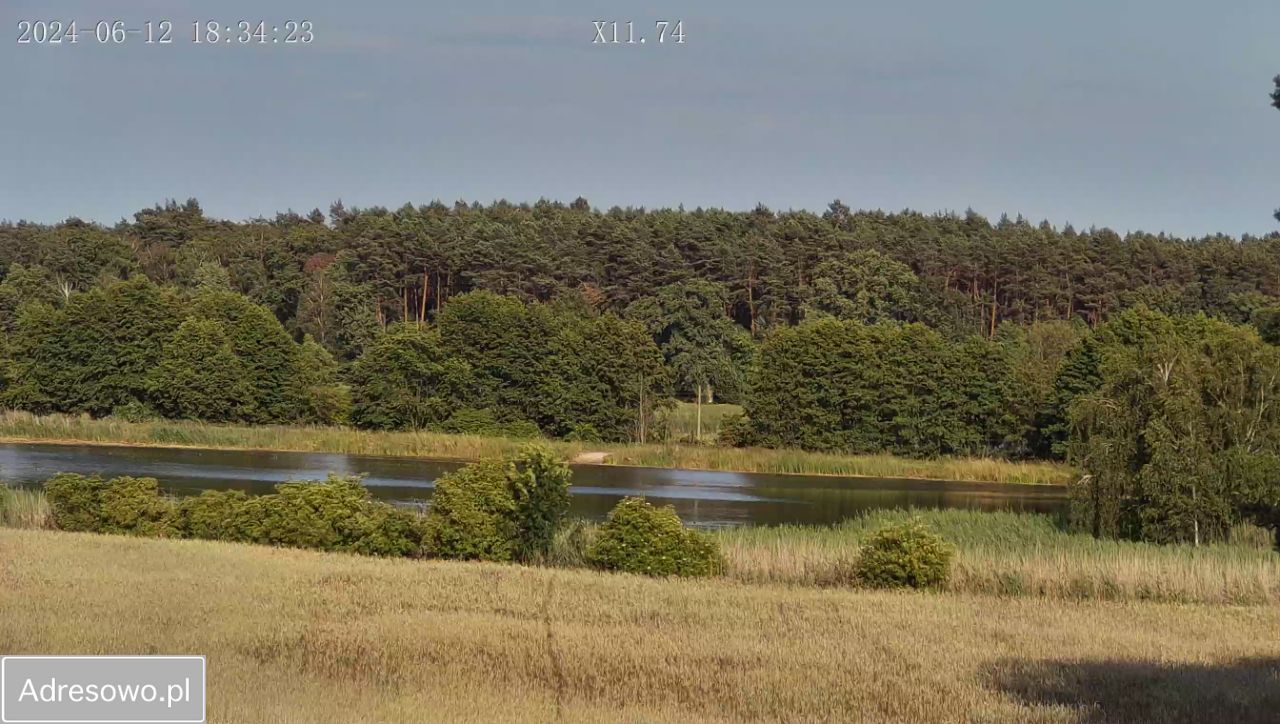 Działka budowlana Skoki, ul. Leśna. Zdjęcie 2