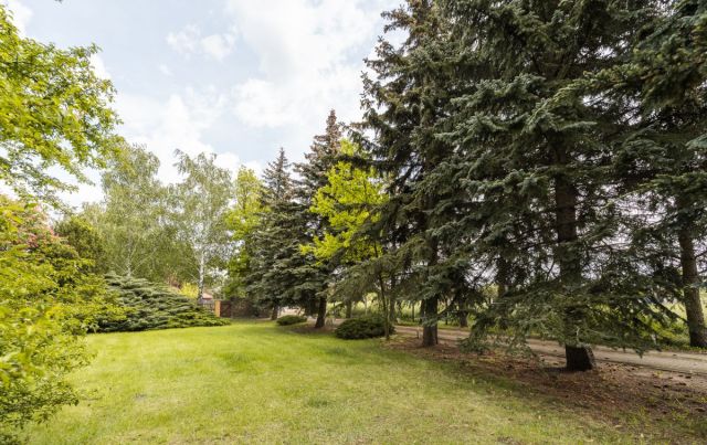 dom wolnostojący, 12 pokoi Tłuste. Zdjęcie 12