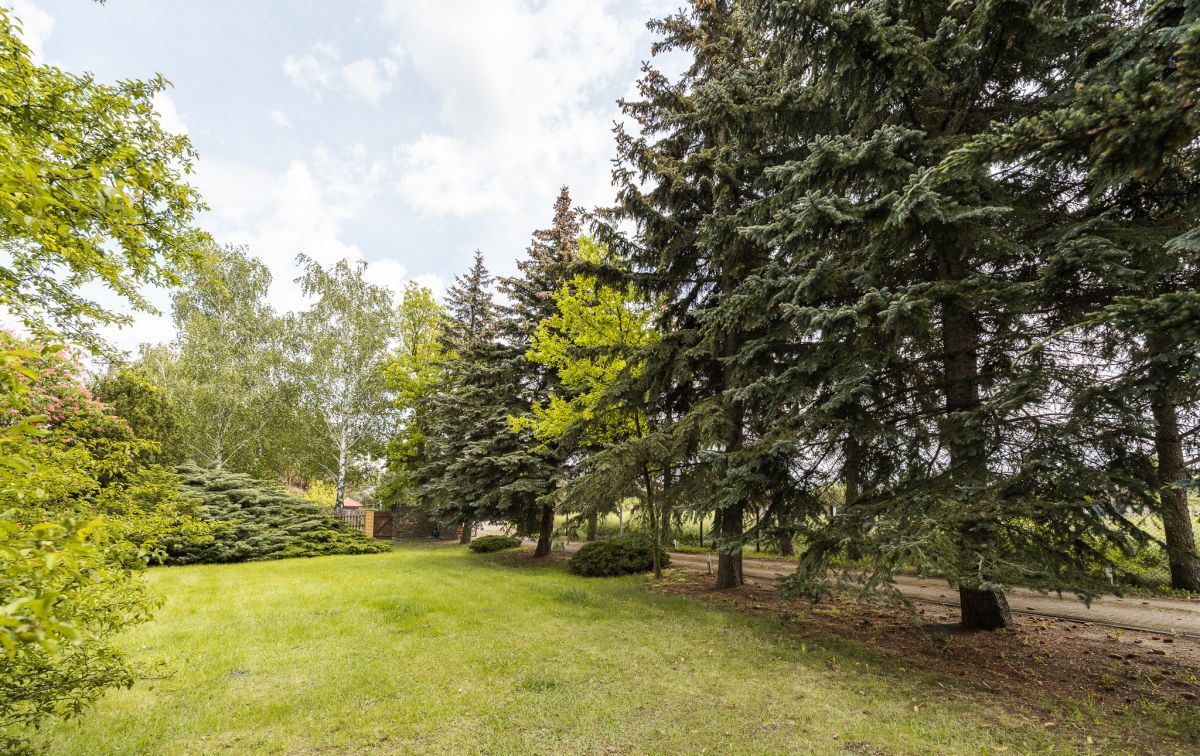 dom wolnostojący, 12 pokoi Tłuste. Zdjęcie 12