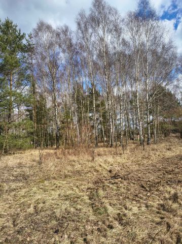 Działka rolna Derkacze. Zdjęcie 1