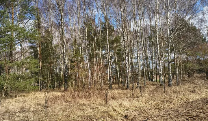 Działka rolna Derkacze