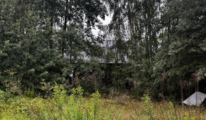 Działka siedliskowa Grabce-Towarzystwo, ul. Główna