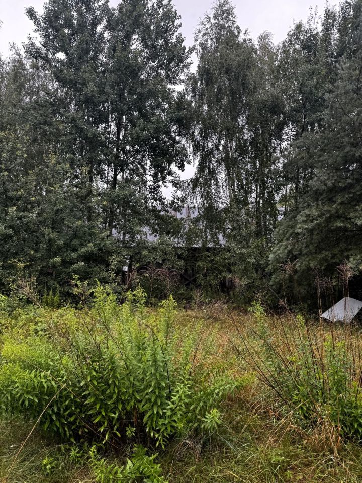 Działka siedliskowa Grabce-Towarzystwo, ul. Główna. Zdjęcie 1