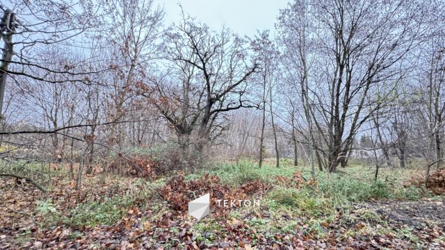 Działka budowlana Złotokłos. Zdjęcie 5