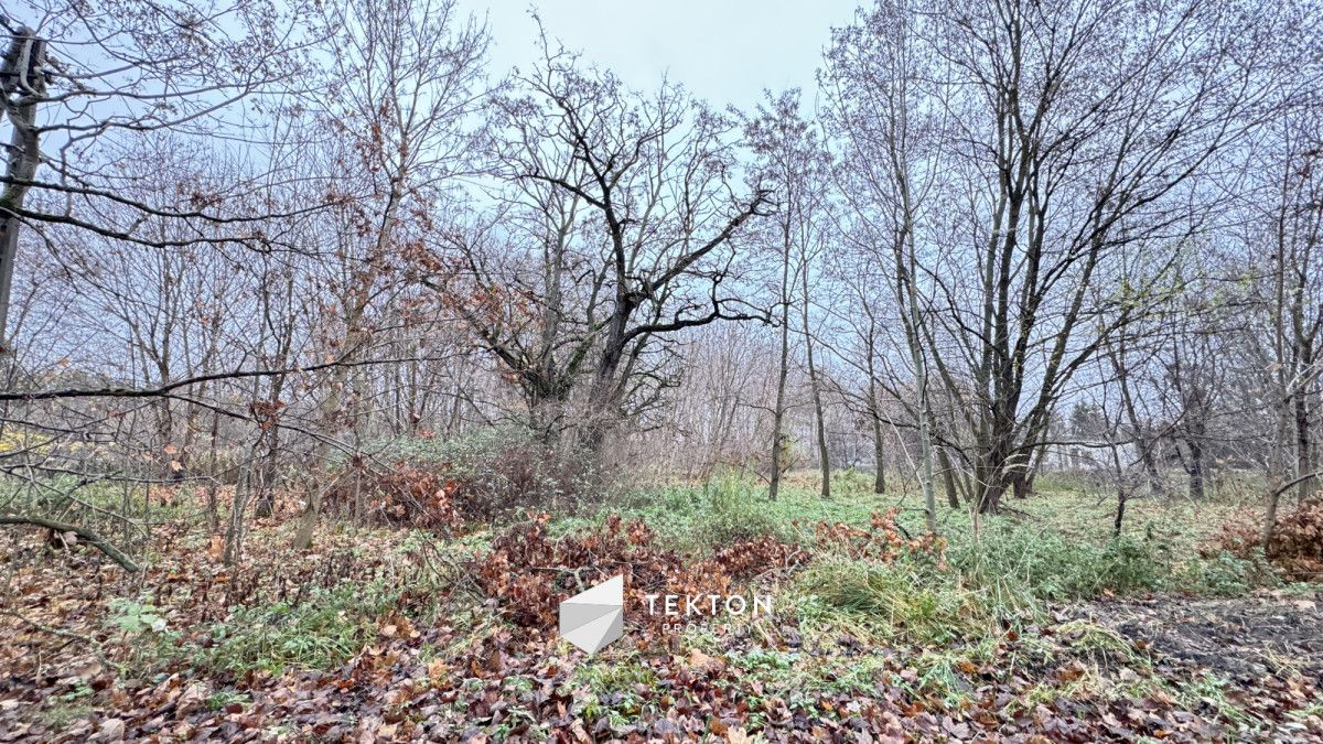 Działka budowlana Złotokłos. Zdjęcie 5