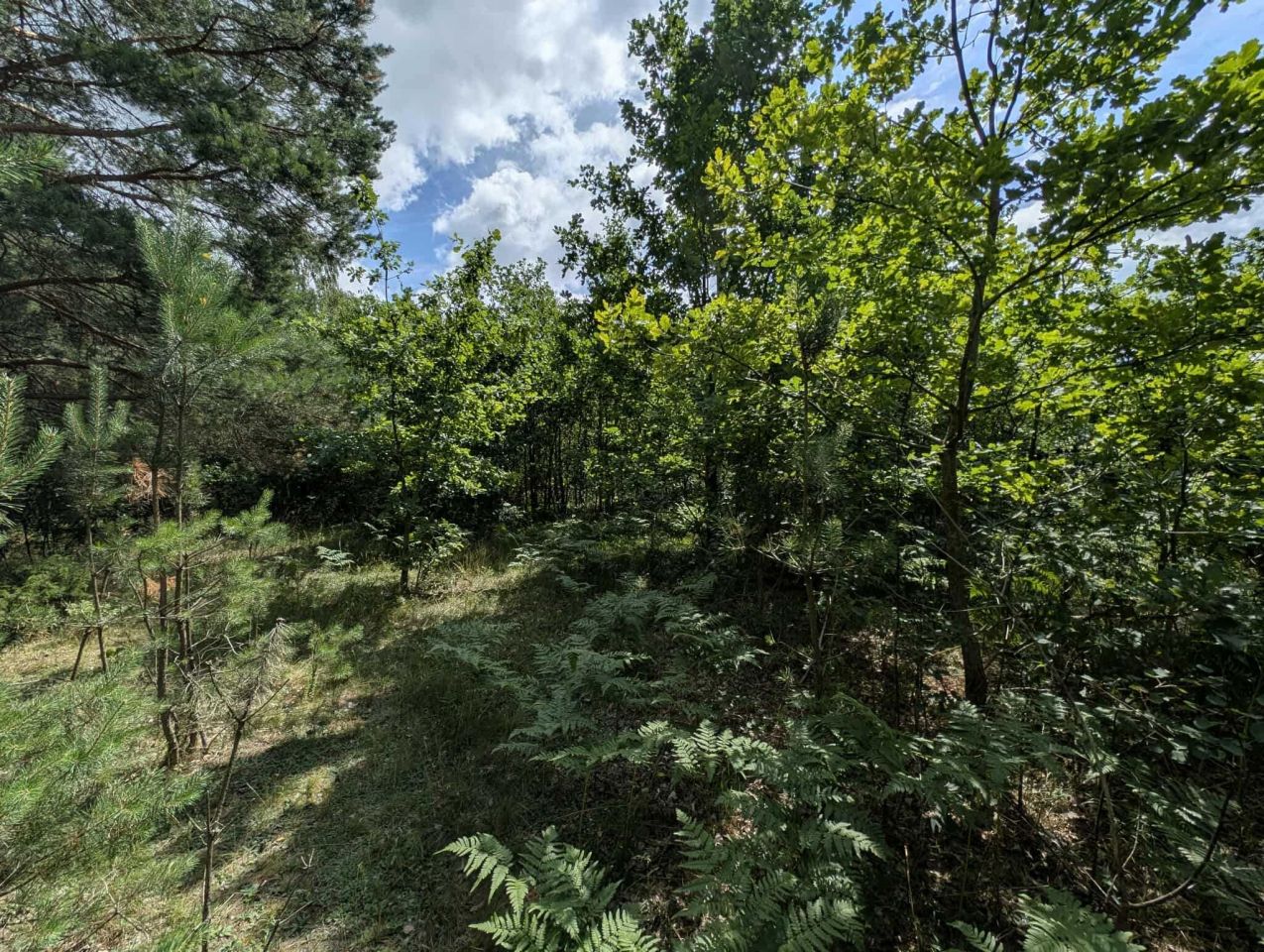 Działka budowlana Niewodnica Korycka. Zdjęcie 3