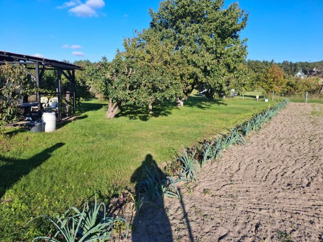 Działka rod Świerzno. Zdjęcie 1