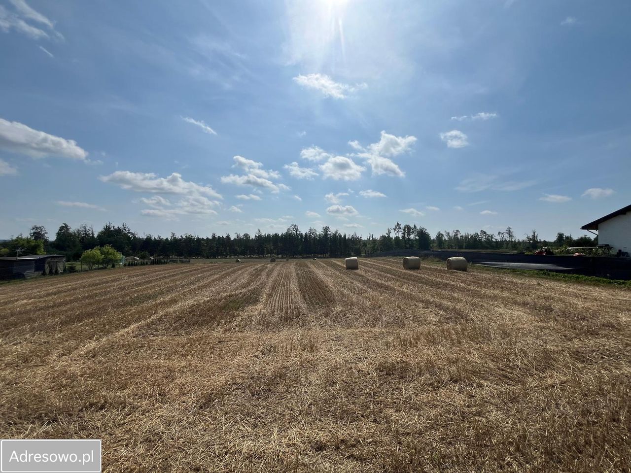 Działka rolno-budowlana Jeziorki. Zdjęcie 11
