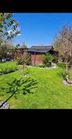 Działka rod Lublin, ul. Mełgiewska. Zdjęcie 1