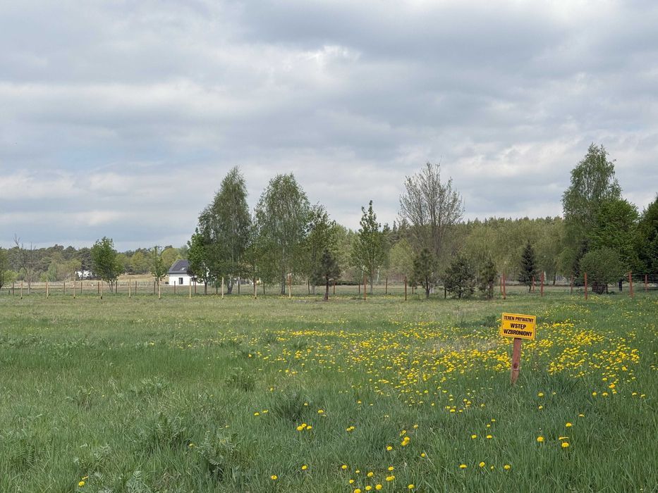 Działka budowlana Górsk. Zdjęcie 8