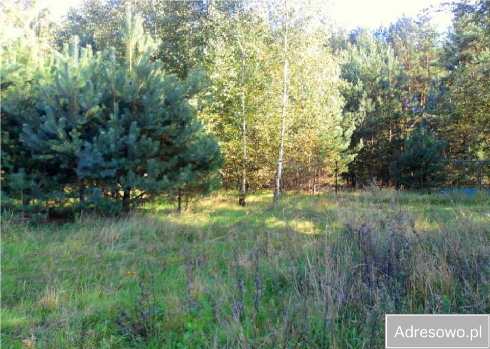 Działka rolno-budowlana Ostrówek. Zdjęcie 4