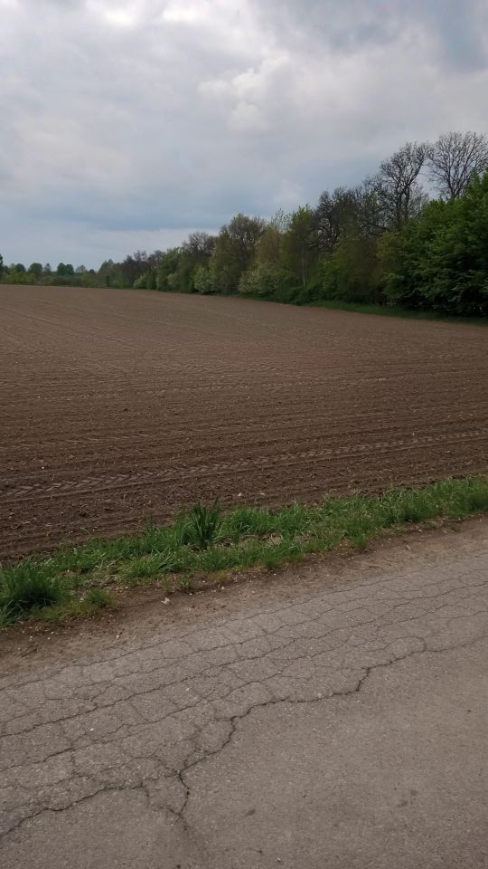 Działka rolna Lipicze, ul. Warszawska. Zdjęcie 8