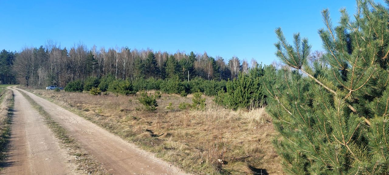 Działka rolno-budowlana Cegielnia Psucka. Zdjęcie 8
