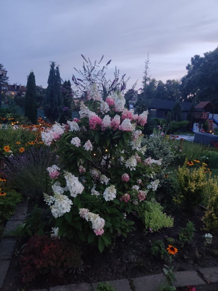 Działka rod Zabrze Mikulczyce, ul. Bytomskich Strzelców. Zdjęcie 6
