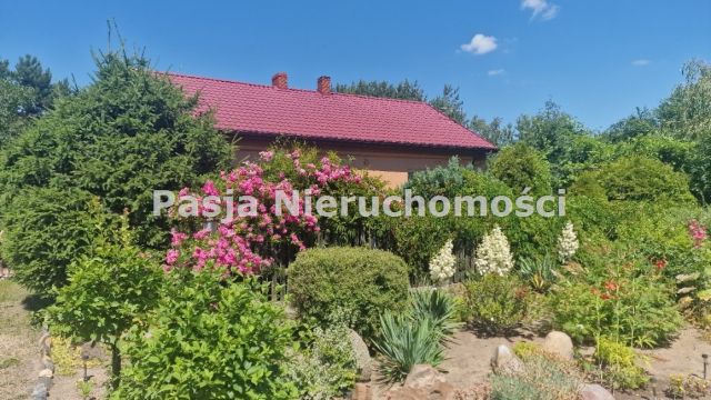 siedlisko Worowice-Wyroby. Zdjęcie 1