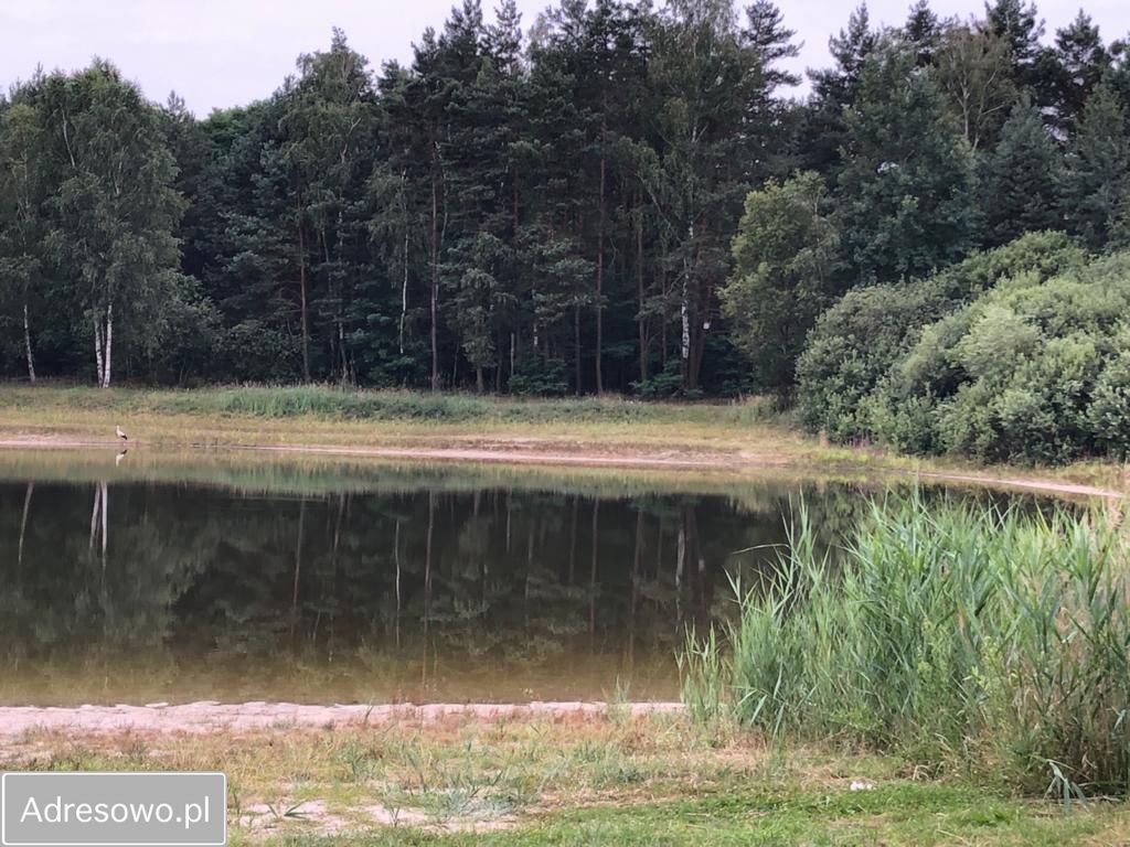 Działka budowlana Biała Panieńska. Zdjęcie 5