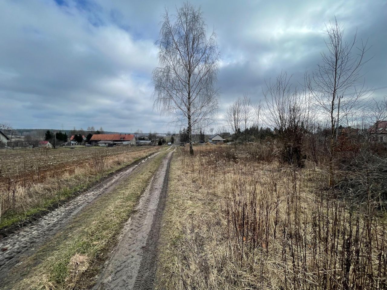 Działka budowlana Lipowa Góra Wschodnia. Zdjęcie 5