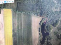 Działka leśna Rękawczyn. Zdjęcie 2