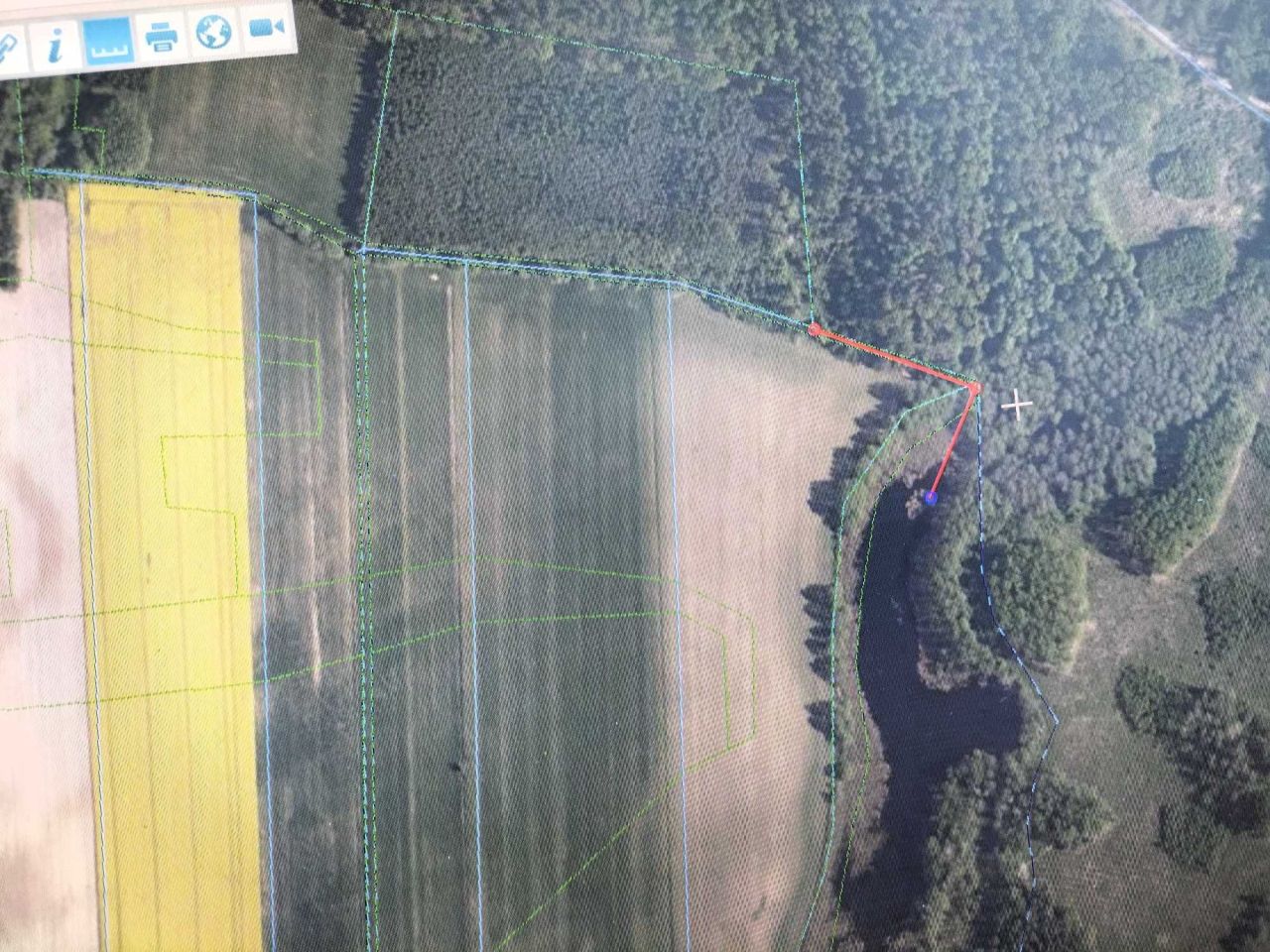 Działka leśna Rękawczyn. Zdjęcie 3