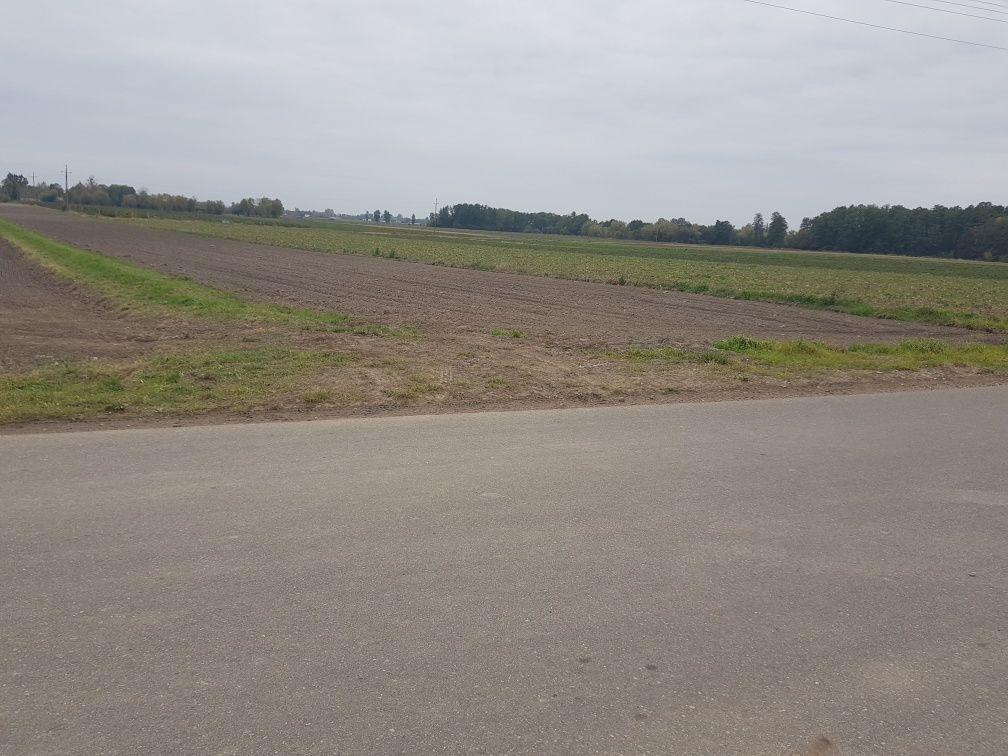 Działka rolna Komsin. Zdjęcie 5