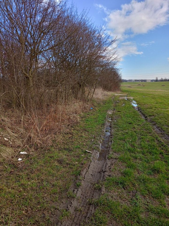 Działka inwestycyjna Luszowice, ul. Xawerego Dunikowskiego. Zdjęcie 3