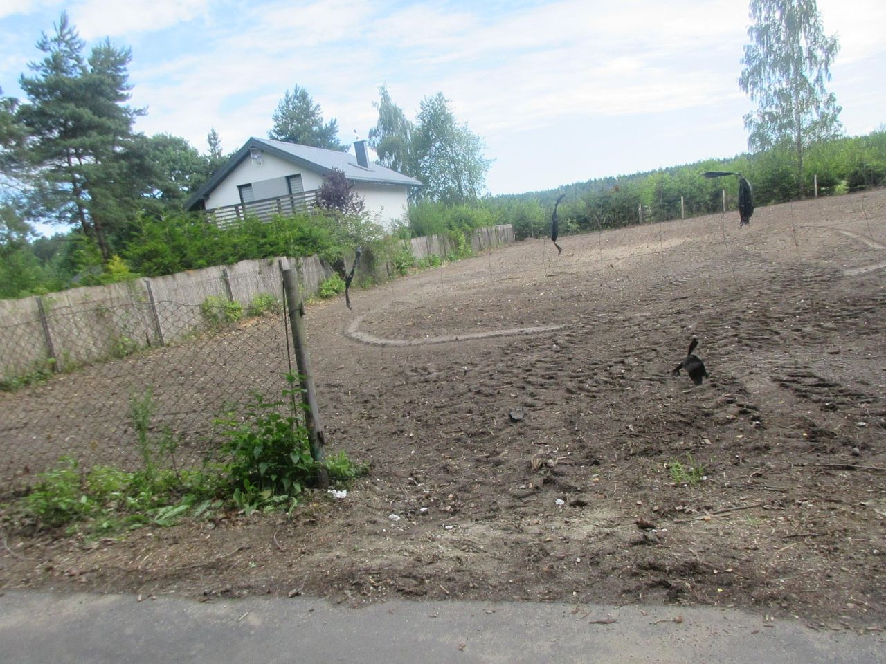 Działka budowlana Kępiaste. Zdjęcie 7