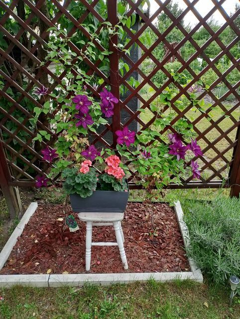 Działka rekreacyjna Ostrów Wielkopolski Zębców, ul. Wrocławska. Zdjęcie 5