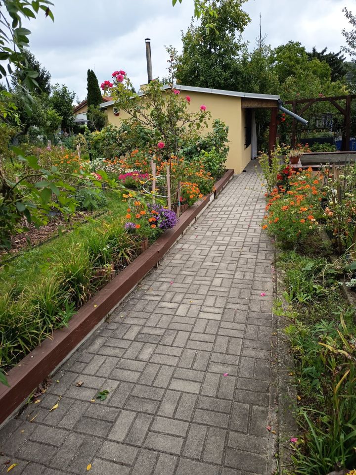 Działka rod Zielona Góra Jędrzychów, ul. Botaniczna. Zdjęcie 10