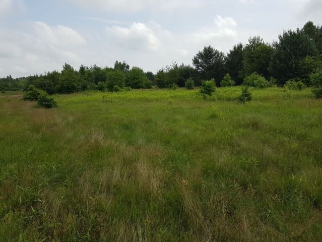 Działka rolno-budowlana Jeżowe
