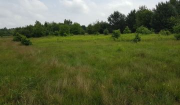 Działka rolno-budowlana Jeżowe. Zdjęcie 1