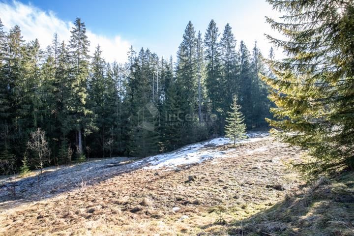 Działka budowlana Zakopane, ul. Cyrhla. Zdjęcie 5